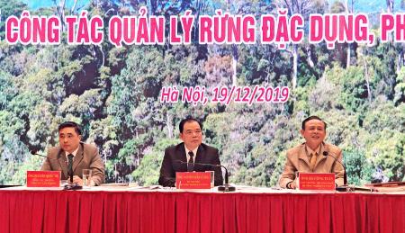 Cần tập trung nguồn lực, nghiên cứu xây dựng các chính sách phát triển rừng bền vững