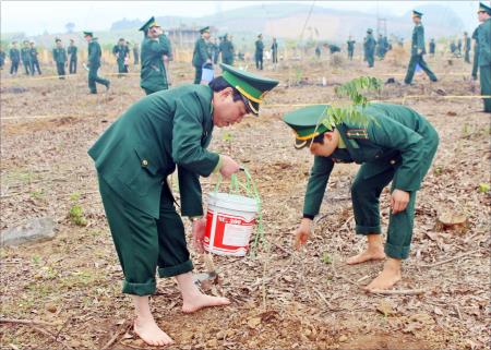 Tổ chức “Tết trồng cây” thiết thực, hiệu quả, không phô trương
