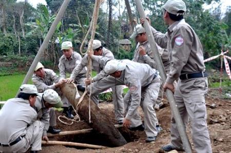Tổ chức Cây Hòa bình Việt Nam nỗ lực khắc phục hậu quả chiến tranh