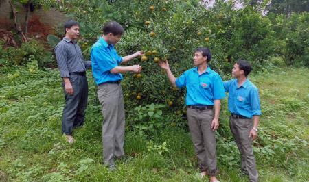 Giấc mơ lập thân trên "miền đá xám"
