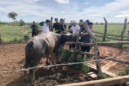 BĐBP Đắk Lắk: Tập huấn phòng chống dịch tả lợn châu Phi