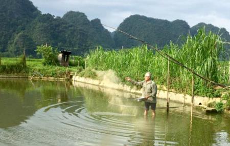 Minh Tâm đổi mới