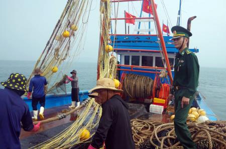 Ngăn chặn tình trạng tàu giã cào “tận diệt” hải sản