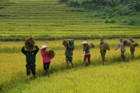 Người con của bản Mu Chi