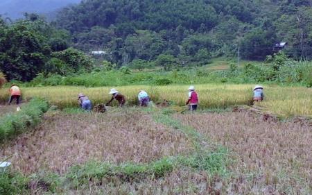 Khát vọng Lao Đhu