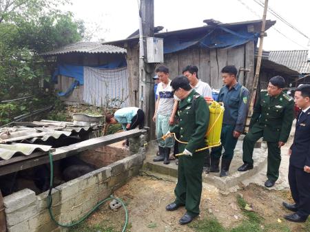Tăng cường phòng chống dịch tả lợn châu Phi qua biên giới
