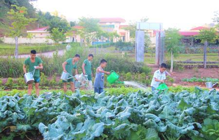 Những người bố nuôi tận tụy