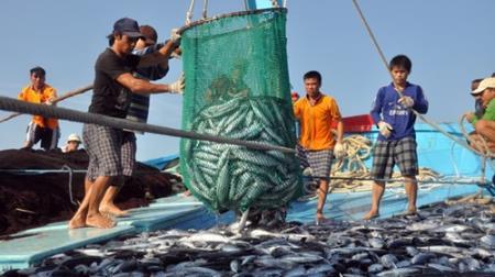 Tháng 6 hoàn thành bồi thường thiệt hại cho người dân vùng biển miền Trung