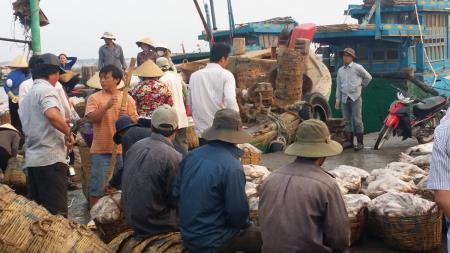"Khát" lao động nghề biển và những hệ lụy khó lường