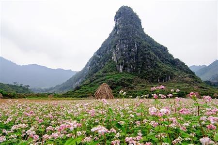 Ngẩn ngơ Săm Pun