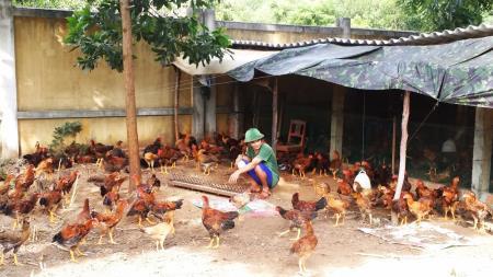 Sắc xanh trên vùng cát trắng