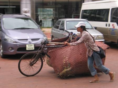Làm gì để giải quyết tận gốc tình trạng người Việt Nam sang Trung Quốc lao động quotchuiquot?