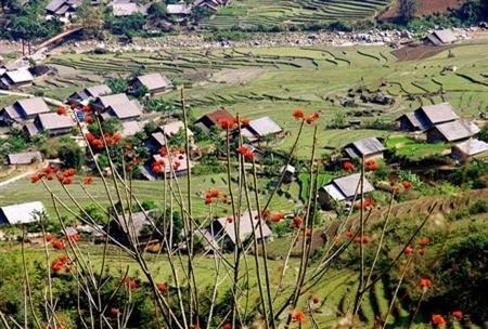 Lào Cai phấn đấu trở thành tỉnh phát triển của vùng Tây Bắc
