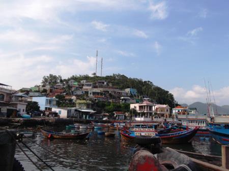 Chuyện ở đảo "Nuôi... muỗi"