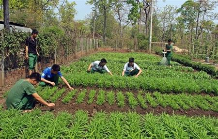 Dấu ấn "thực túc binh cường" nơi vùng biên khắc nghiệt
