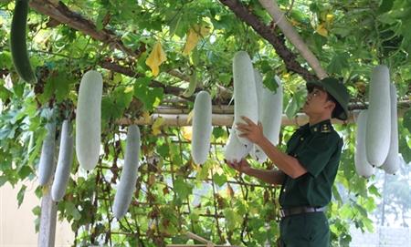 Phát huy truyền thống, cống hiến tài năng ở Đồn BPCK cảng Nghi Sơn