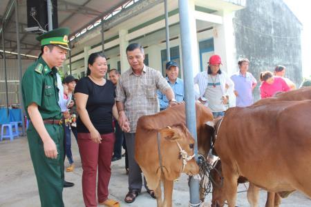 Trao bò giống cho phụ nữ có hoàn cảnh khó khăn tại xã biên giới của tỉnh Đắk Lắk
