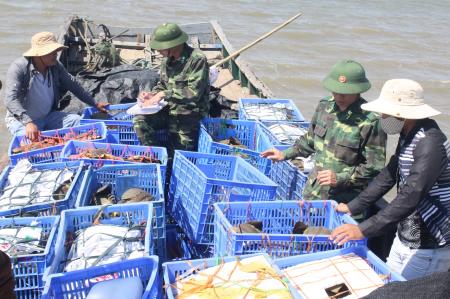 Vận chuyển trái phép 120 con sam sang Trung Quốc tiêu thụ