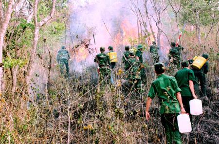 Chủ động phòng, chống cháy rừng mùa nắng nóng