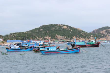 Hướng đến phát triển nghề cá bền vững