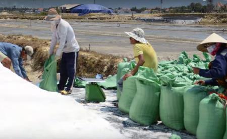 Cay đắng diêm dân