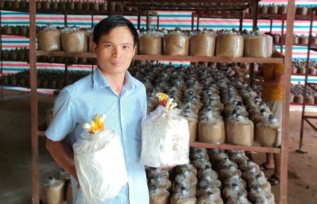 Lập nghiệp từ đam mê làm nông nghiệp theo hướng công nghệ cao