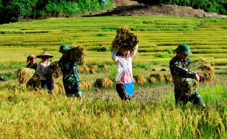 Tuổi trẻ BĐBP xung kích xây dựng biên giới bình yên