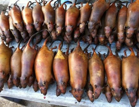 Người La Chí và tục cúng thịt chuột