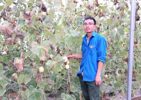 Chàng trai Mường đam mê trồng rau, quả sạch