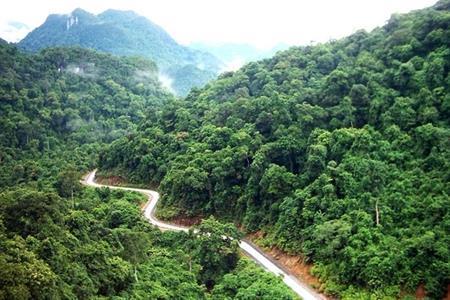 Từ rừng Trường Sơn đến thành phố mang tên Bác