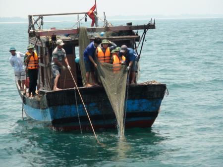 Huy động tổng lực xử lý tàu đánh bắt hải sản “tận diệt”