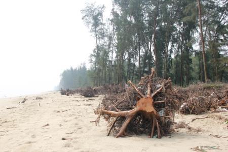 Biển xâm thực, hàng trăm hộ dân sống trong lo âu