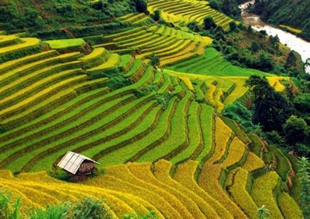 Tuần Văn hoá và Du lịch danh thắng Quốc gia ruộng bậc thang Mù Cang Chải