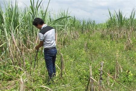 Bao giờ người dân xã Rờ Kơi đòi được tiền, được đất?