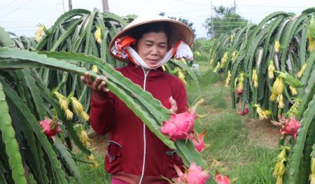 Bình Thuận nỗ lực khơi thông dòng vốn đầu tư