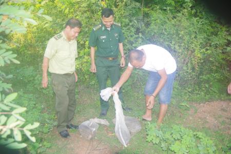 Thả động vật hoang dã về rừng
