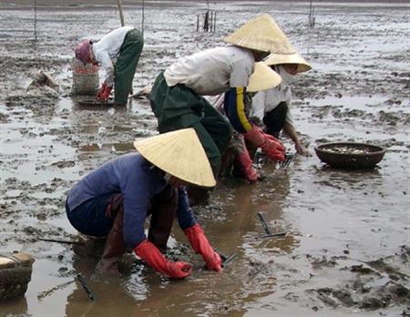 Người Dao bám biển