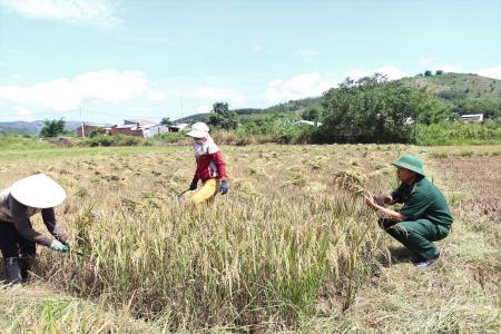 Nỗ lực xây dựng vùng biên giới Bắc Tây Nguyên vững mạnh
