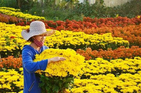 Giữ lửa xuân xưa