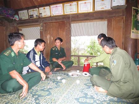Cây ngô lai trên vùng biên giới xứ Thanh