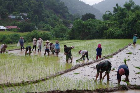 Sắc xanh tỏa sáng trên biên giới Điện Biên