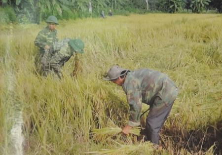 “Lúa nước bộ đội” đưa ấm no đến với đồng bào Jrai