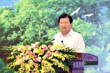 Khai thác rừng tự nhiên được quản lý chặt chẽ, giảm mạnh về quy mô