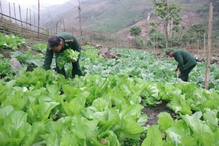 Sức sáng tạo của người lính Biên phòng giữa miền sơn cước
