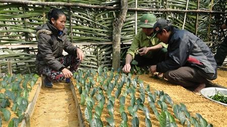 Nỗ lực giúp dân ổn định cuộc sống