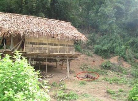 Khẩn trương truy tìm hung thủ vụ thảm sát tại khe Cát Tả