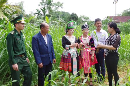 Cán bộ, nhân dân tỉnh Bô Ly Khăm Xay tham quan mô hình kinh tế tại Hà Tĩnh
