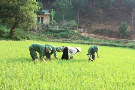 Căn nguyên của sự suy thoái