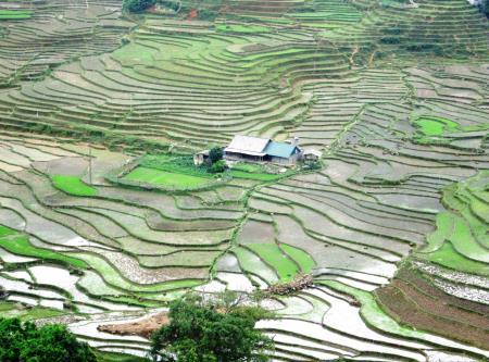 Trải nghiệm ở thung lũng Tả Van