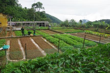Nỗ lực vượt khó để “thực túc binh cường”